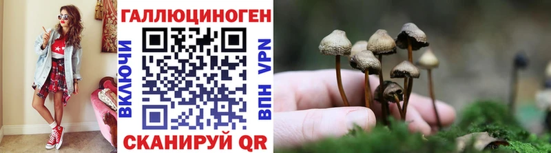 Галлюциногенные грибы мухоморы  хочу   Инза 